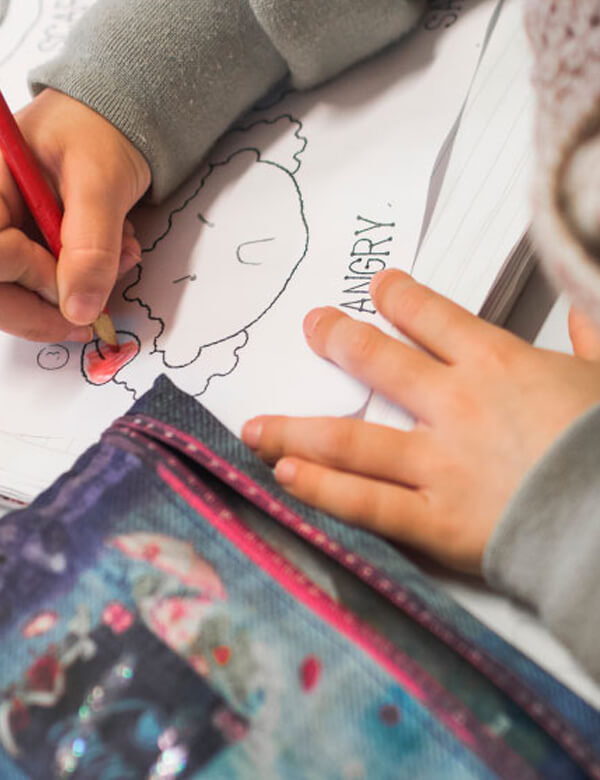 Educational Growth Through Festivals